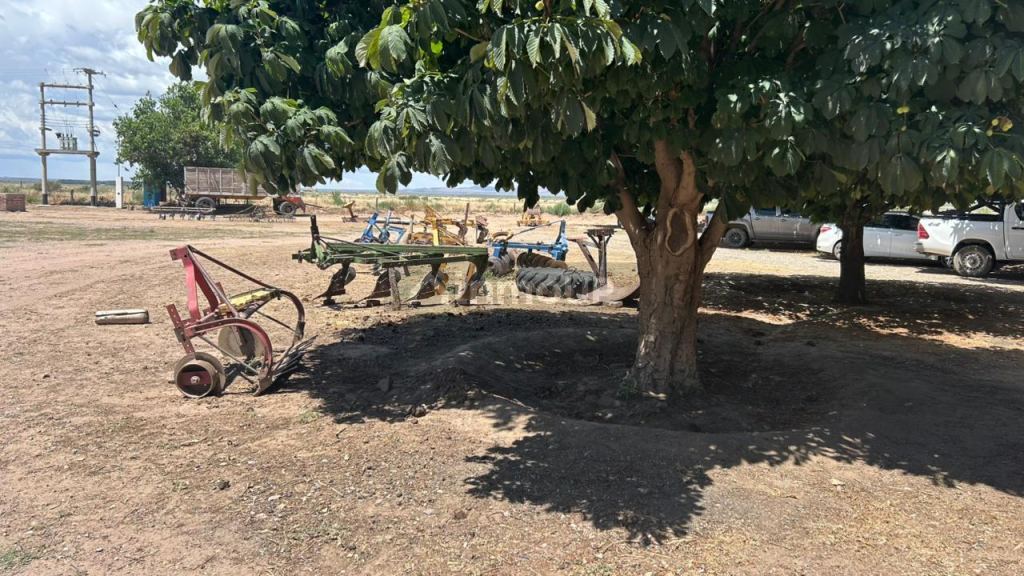 Finca en Venta en San Carlos, Mendoza