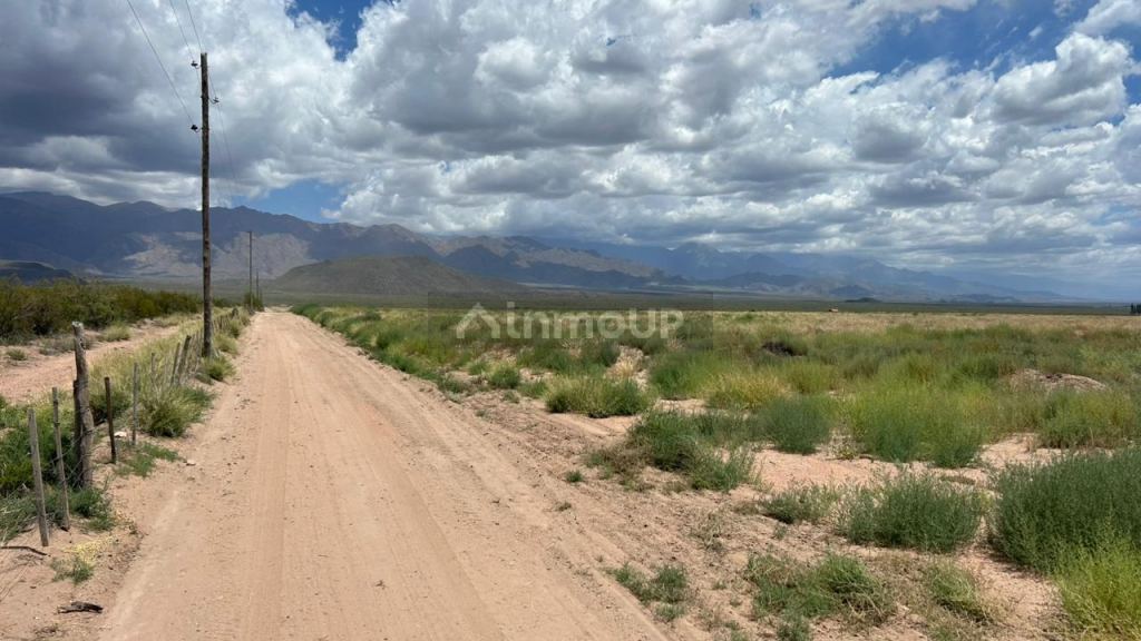 Finca en Venta en San Carlos, Mendoza