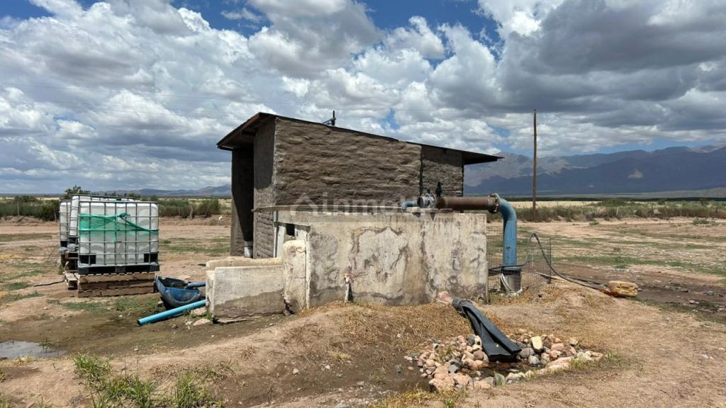 Finca en Venta en San Carlos, Mendoza