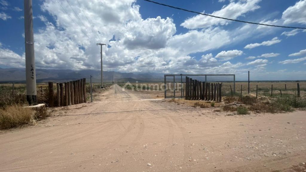 Finca en Venta en San Carlos, Mendoza