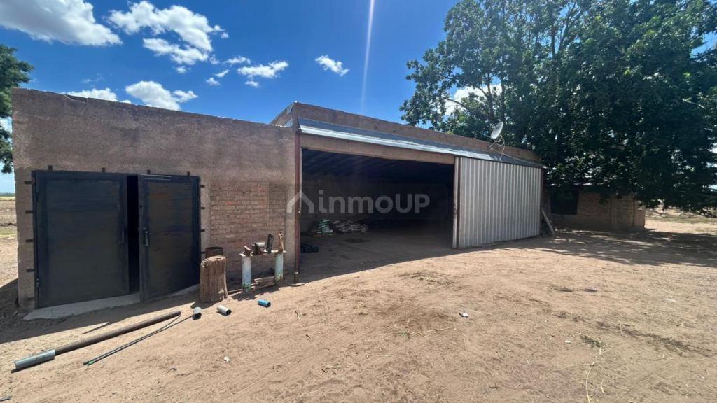 Finca en Venta en San Carlos, Mendoza