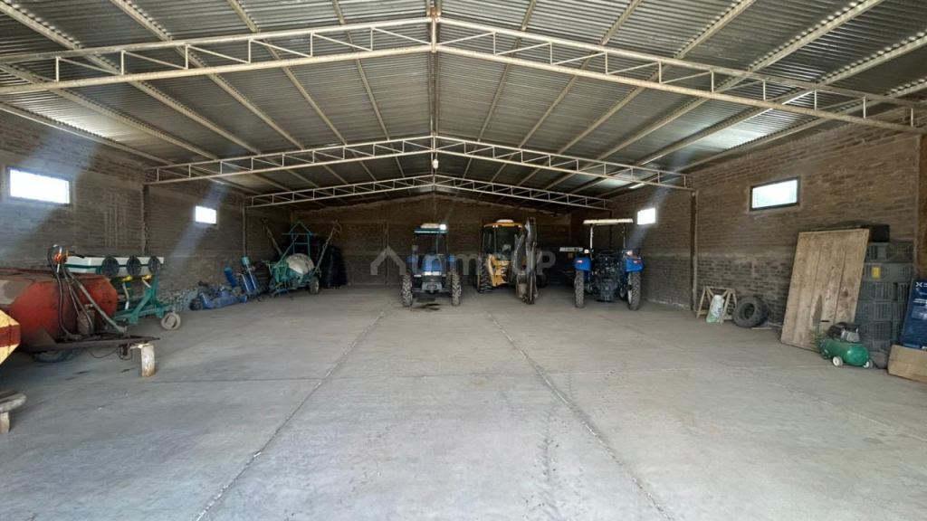 Finca en Venta en San Carlos, Mendoza
