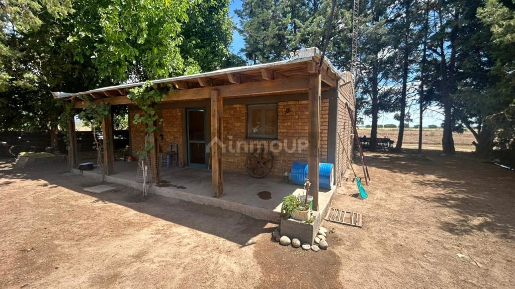 Finca en Venta en San Carlos, Mendoza