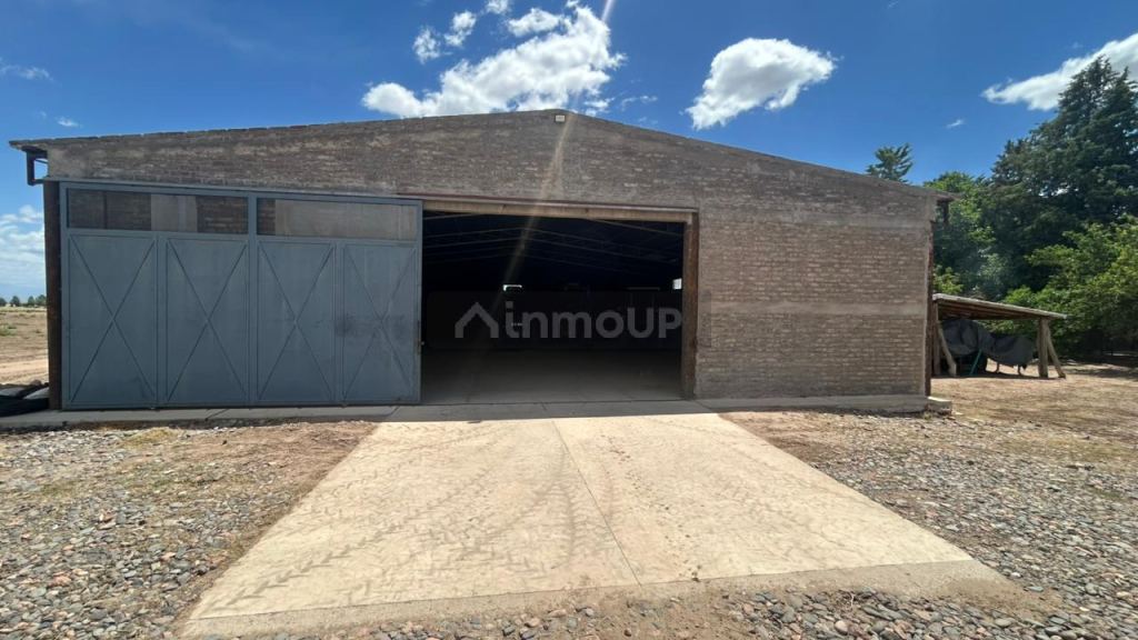 Finca en Venta en San Carlos, Mendoza