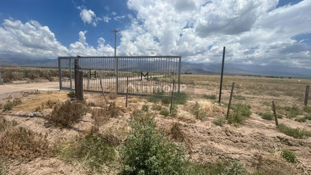 Finca en Venta en San Carlos, Mendoza