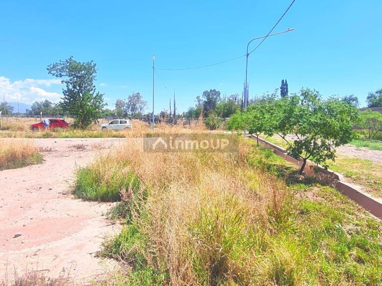 Terreno en Venta en Lujan de Cuyo, Mendoza