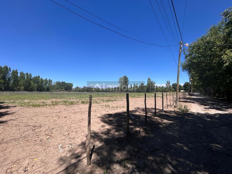 Terreno en Venta en Tunuyan, Mendoza