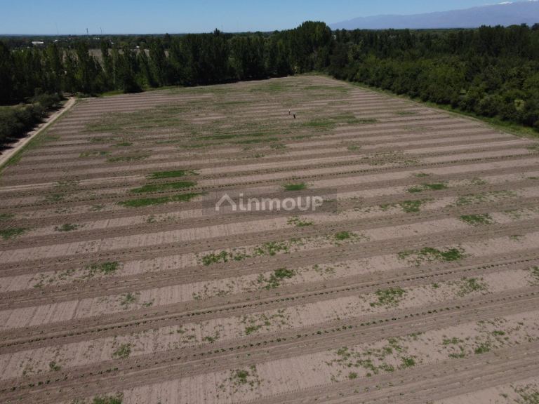 Terreno en Venta en Tunuyan, Mendoza