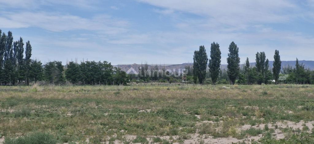 Terreno en Venta en San Rafael, Mendoza