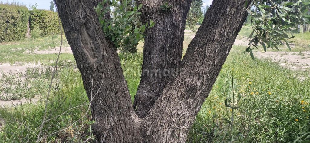 Terreno en Venta en San Rafael, Mendoza