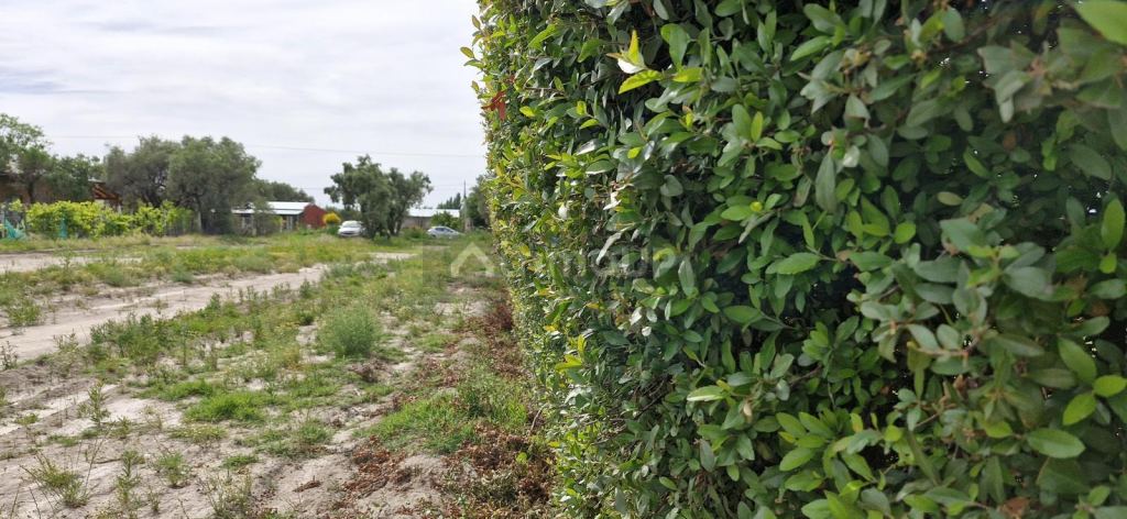 Terreno en Venta en San Rafael, Mendoza