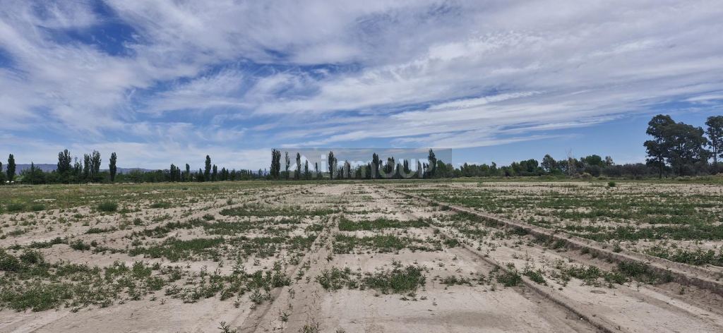 Terreno en Venta en San Rafael, Mendoza