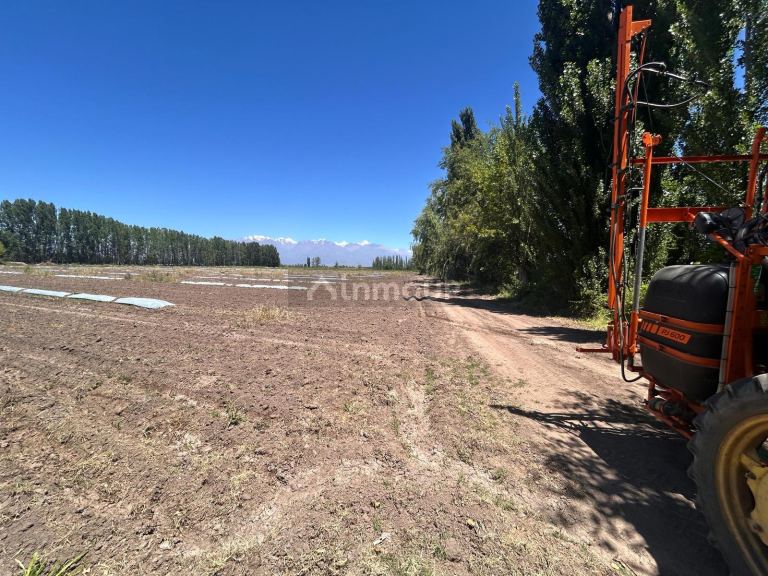 Finca en Venta en Tunuyan, Mendoza
