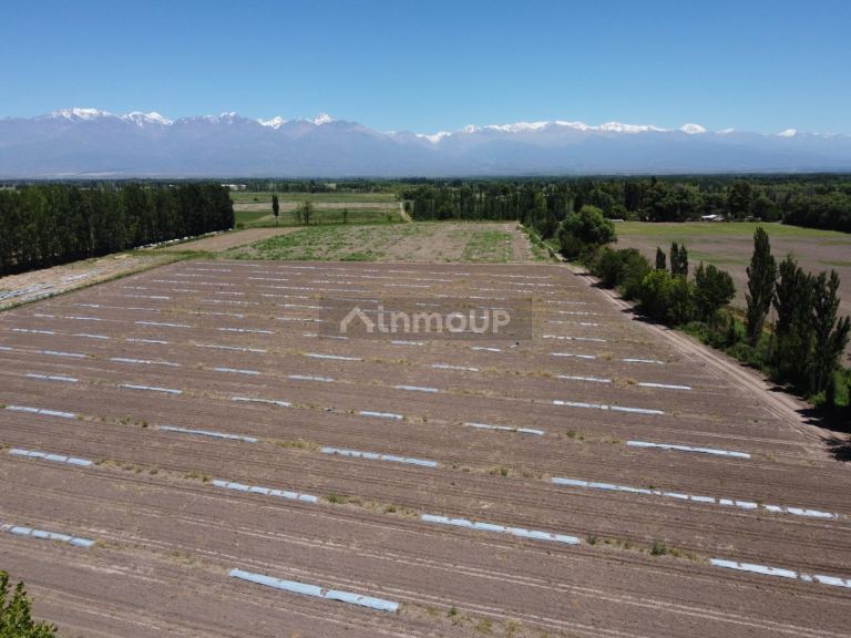 Finca en Venta en Tunuyan, Mendoza