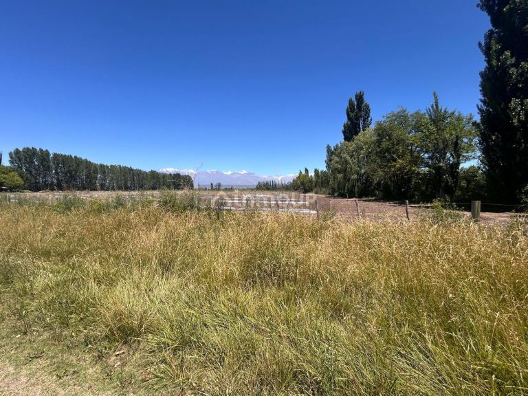 Finca en Venta en Tunuyan, Mendoza