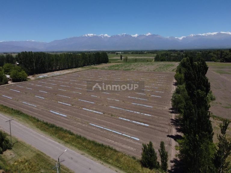 Finca en Venta en Tunuyan, Mendoza