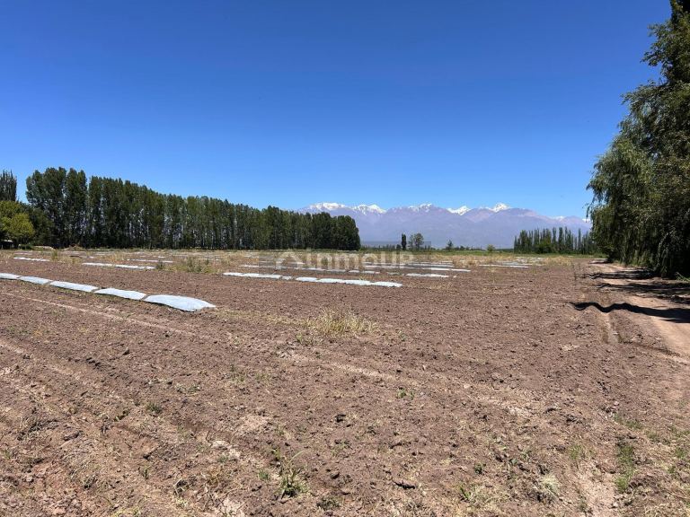 Finca en Venta en Tunuyan, Mendoza