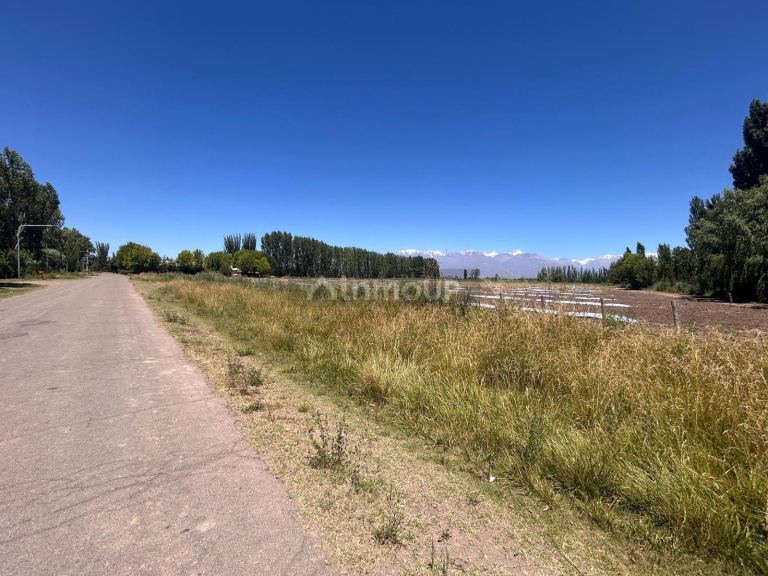 Finca en Venta en Tunuyan, Mendoza