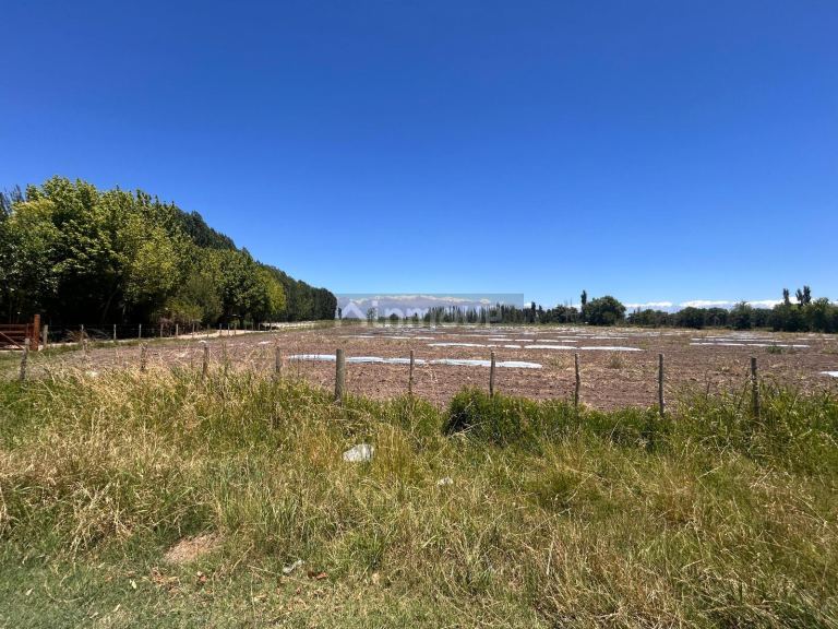 Finca en Venta en Tunuyan, Mendoza