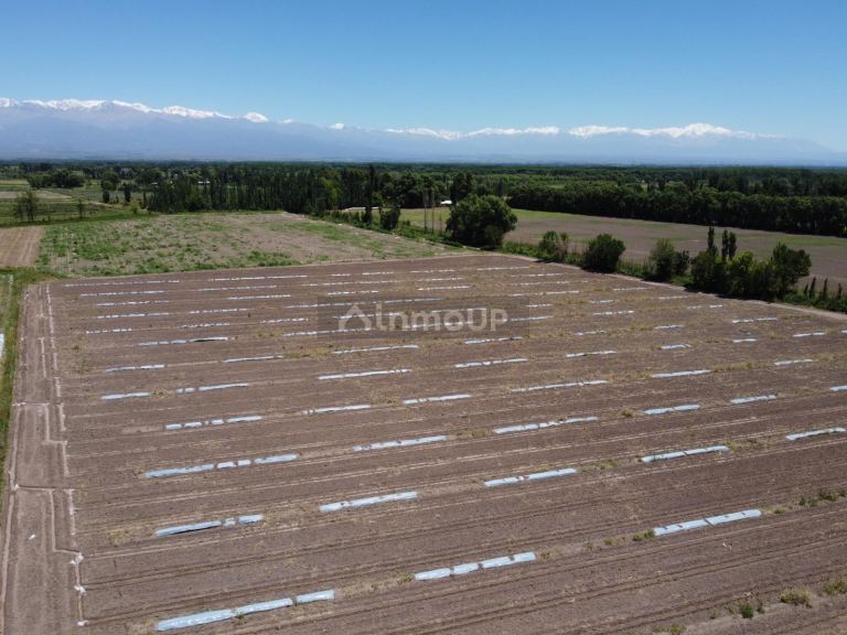 Finca en Venta en Tunuyan, Mendoza