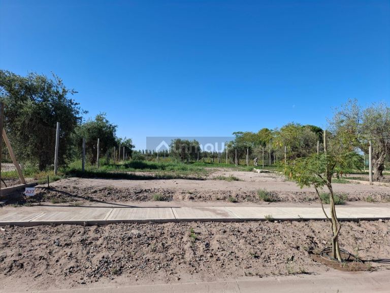 Terreno en Venta en Maipu, Mendoza
