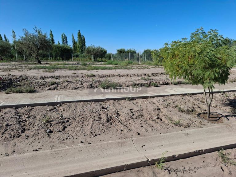 Terreno en Venta en Maipu, Mendoza