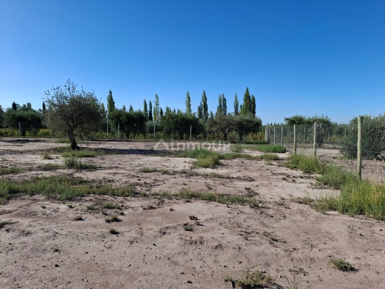 Terreno en Venta en Maipu, Mendoza