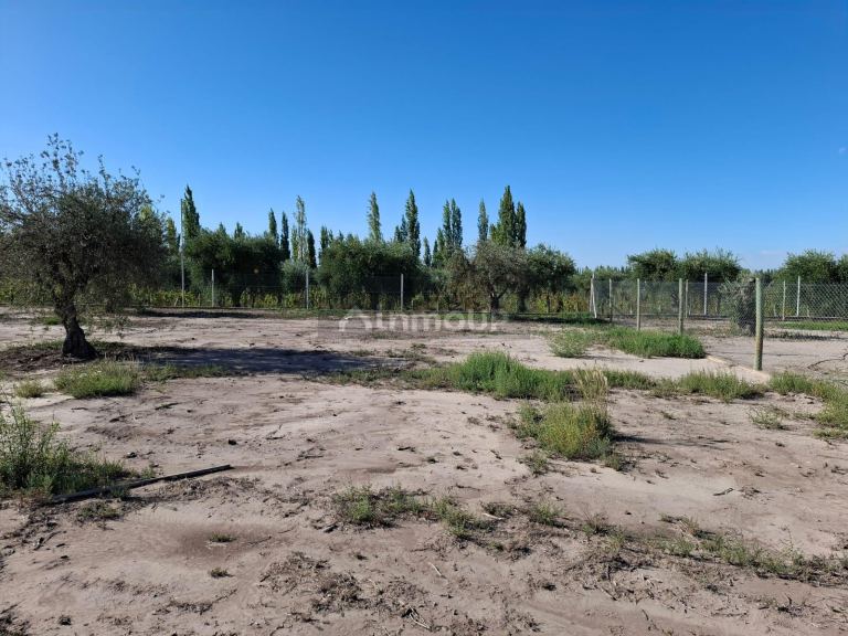 Terreno en Venta en Maipu, Mendoza