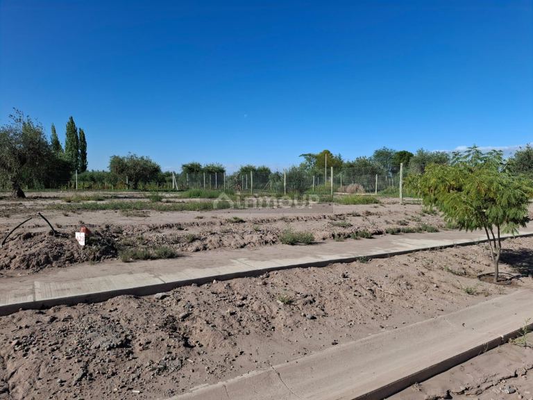 Terreno en Venta en Maipu, Mendoza