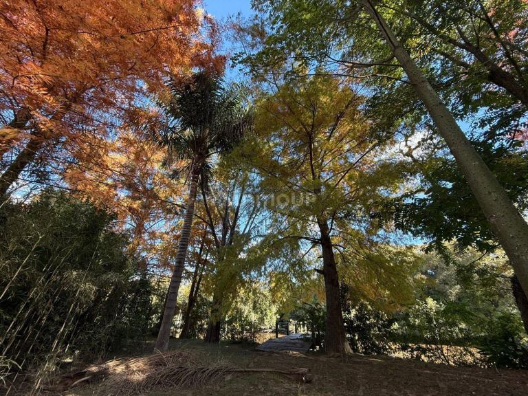 Casa en Venta en Tigre, G.B.A. Zona Norte
