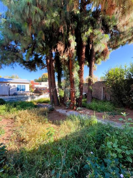 Lote en Venta en Godoy Cruz, Mendoza