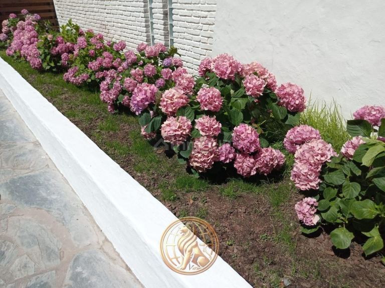 P H en Alquiler Temporario en Pinamar, Buenos Aires Costa Atlantica