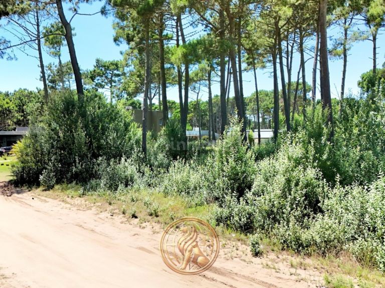 Terreno en Venta en Pinamar, Buenos Aires Costa Atlantica