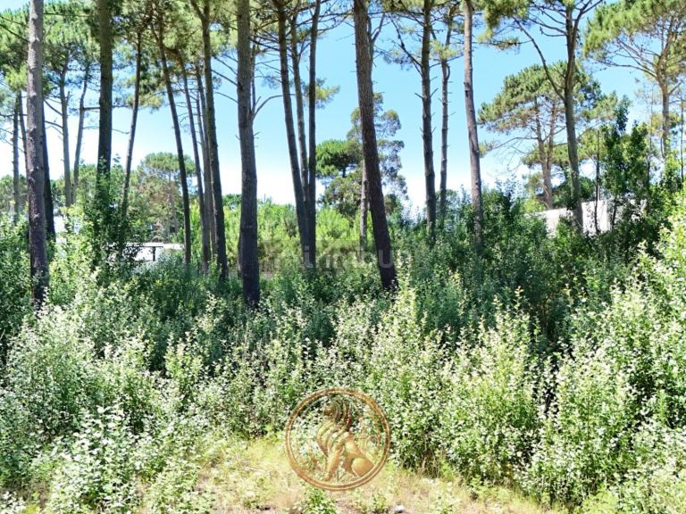 Terreno en Venta en Pinamar, Buenos Aires Costa Atlantica