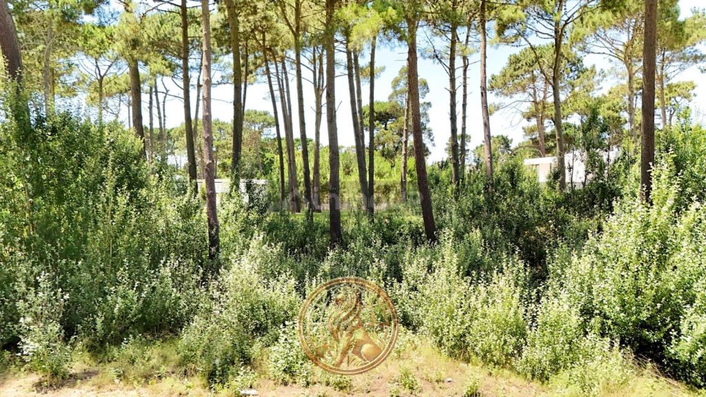 Terreno en Venta en Pinamar, Buenos Aires Costa Atlantica