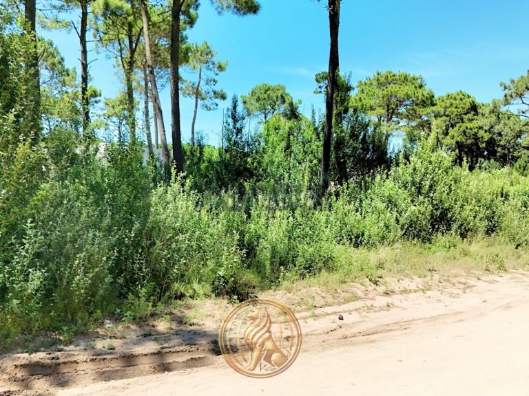 Terreno en Venta en Pinamar, Buenos Aires Costa Atlantica