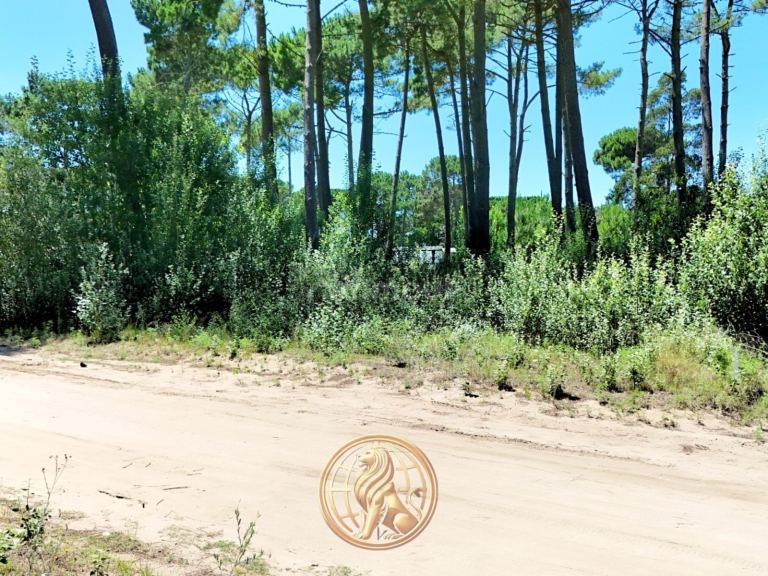 Terreno en Venta en Pinamar, Buenos Aires Costa Atlantica