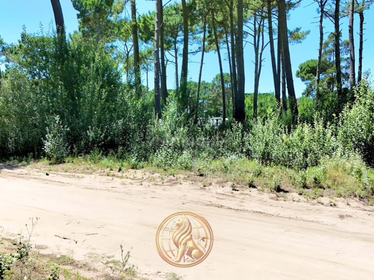 Terreno en Venta en Pinamar, Buenos Aires Costa Atlantica