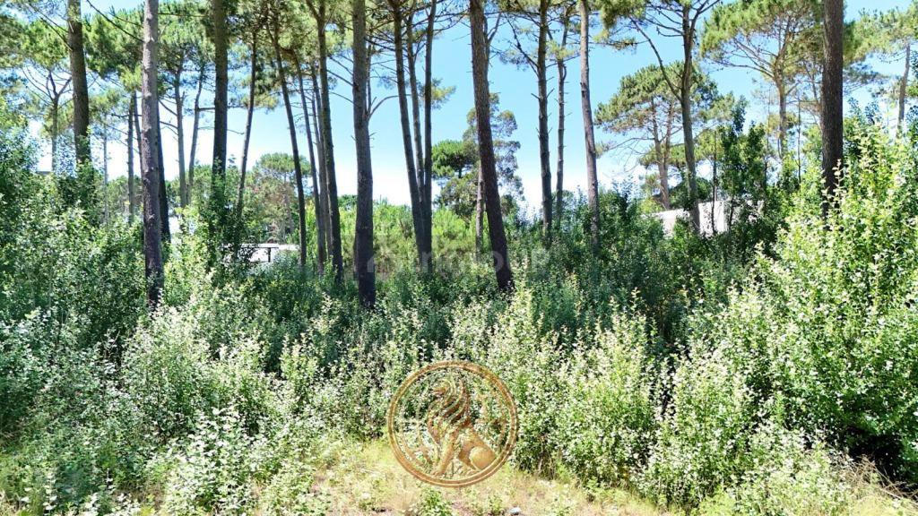 Terreno en Venta en Pinamar, Buenos Aires Costa Atlantica
