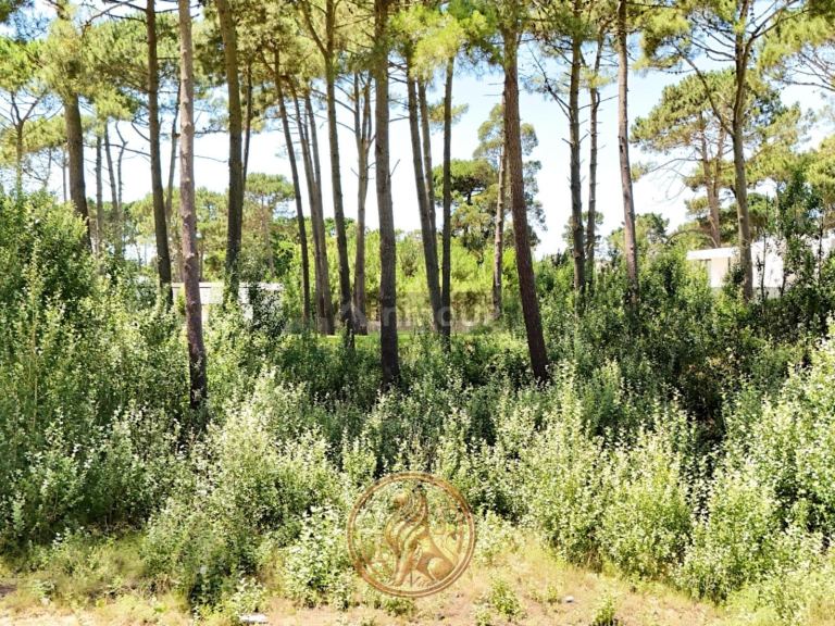 Terreno en Venta en Pinamar, Buenos Aires Costa Atlantica