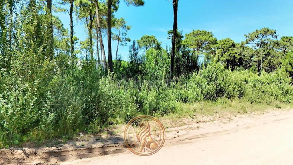 Terreno en Venta en Pinamar, Buenos Aires Costa Atlantica
