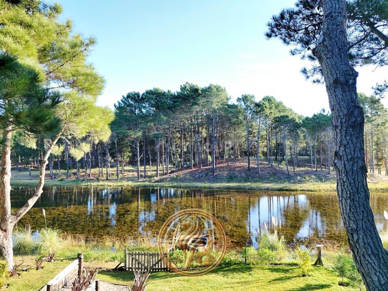 Casa en Venta en Pinamar, Buenos Aires Costa Atlantica