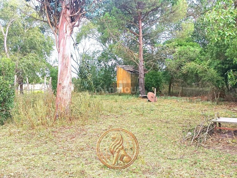 Terreno en Venta en General Madariaga, Buenos Aires Interior