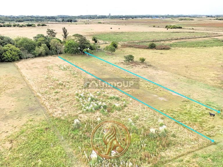 Terreno en Venta en General Madariaga, Buenos Aires Interior