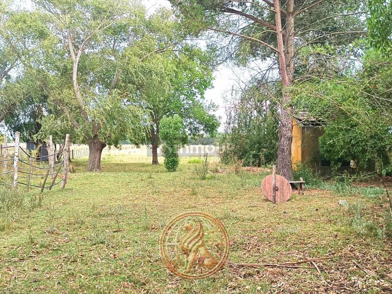 Terreno en Venta en General Madariaga, Buenos Aires Interior