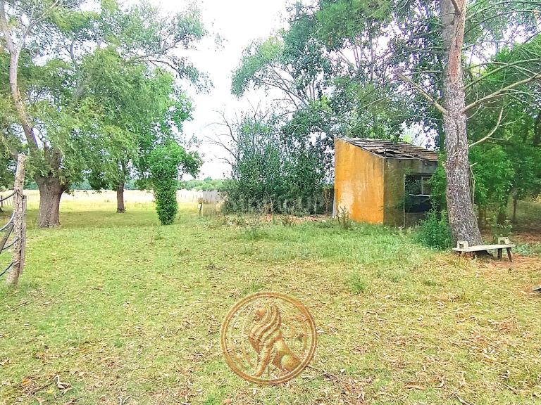 Terreno en Venta en General Madariaga, Buenos Aires Interior