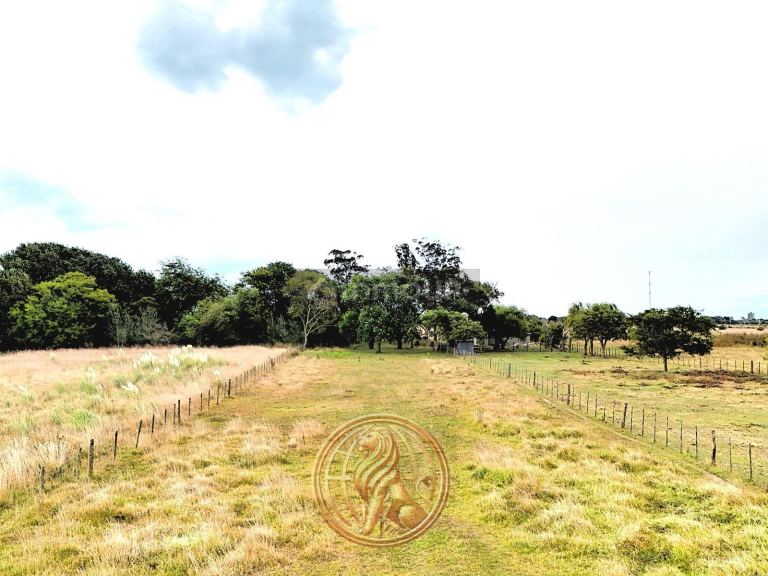 Terreno en Venta en General Madariaga, Buenos Aires Interior