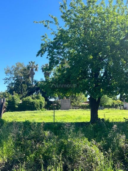 Terreno en Venta en Caseros, Santa Fe