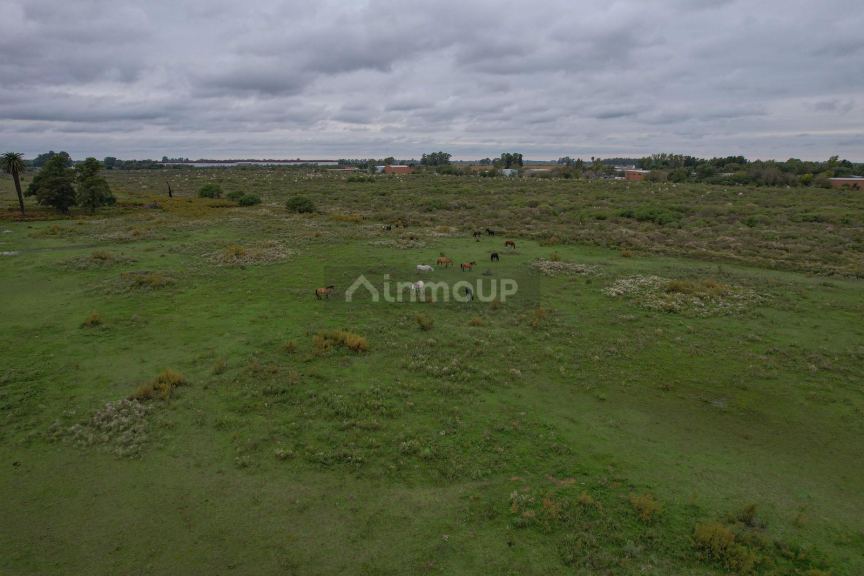 Campo en Venta en Rosario, Santa Fe