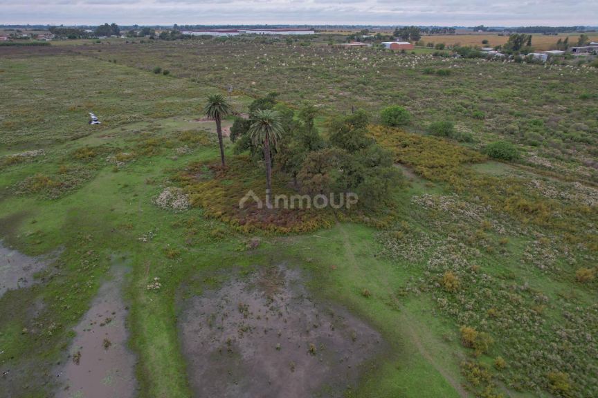 Campo en Venta en Rosario, Santa Fe